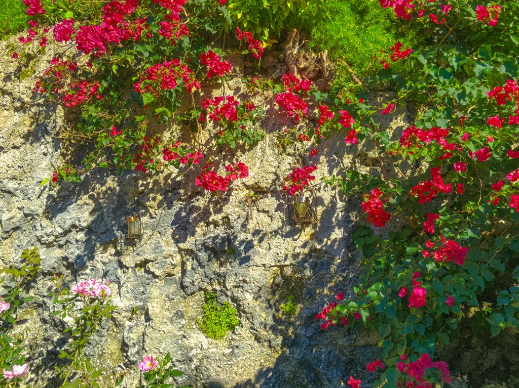 untitled_hdr26_1020